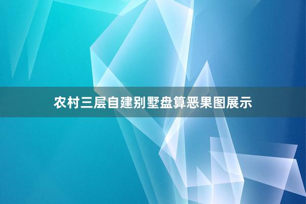 农村三层自建别墅盘算恶果图展示