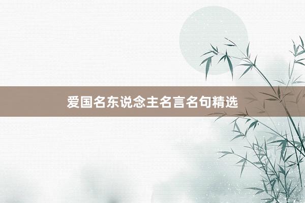 爱国名东说念主名言名句精选